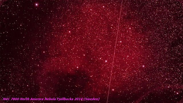  NGC 7000 Nébuleuse de l´Amérique du Nord