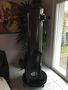 Dobson Orion 300