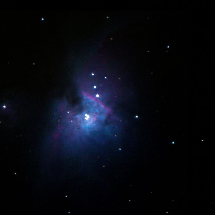 Orion - premiere photo