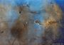 IC1396 SHO