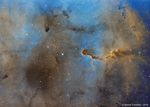 IC1396 SHO