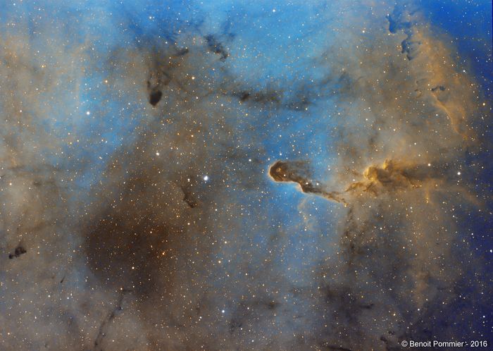 IC1396 SHO