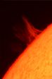 dragon solar refractor 120 mm halpha