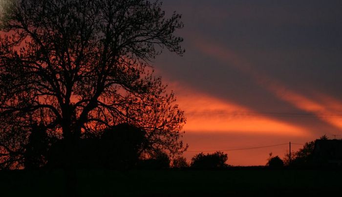 nuages roses;)
