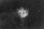 La rosette en Halpha