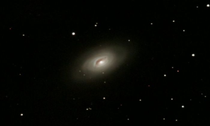 M64