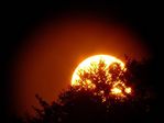 Coucher de soleil près de Ciney Belgique