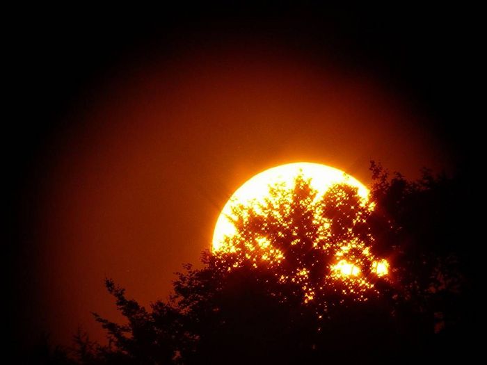 Coucher de soleil près de Ciney Belgique