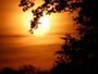 Coucher de soleil au pied des chenes (1)