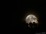 Lever de Lune...