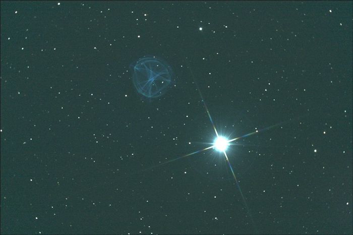 Vega