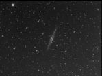 ngc 891