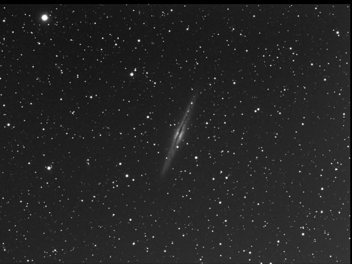 ngc 891