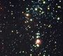 Orion et B33