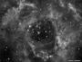NGC 2244-46   La nébuleuse de la rosette