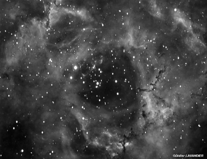 NGC 2244-46   La nébuleuse de la rosette
