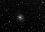 M101