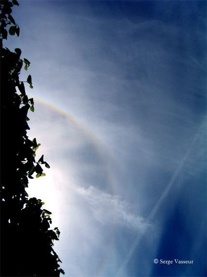 Halo circonscrit 02a