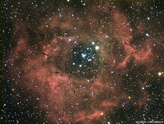 NGC 2244 - Nébuleuse de la rosette