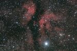 Nébulosités autour de gamma du cygne