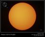 Sunspot 1029 en H-alpha
