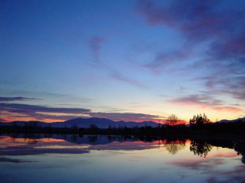 reflets
