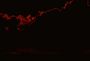 rayon vert...animation