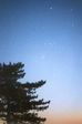 Orion