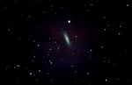 NGC 6503