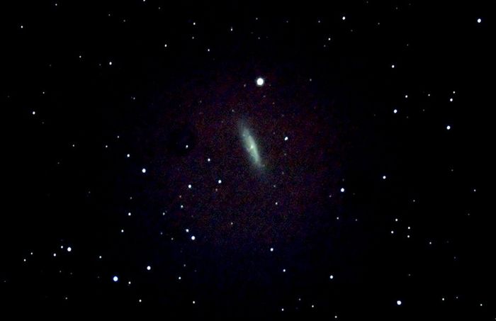 NGC 6503