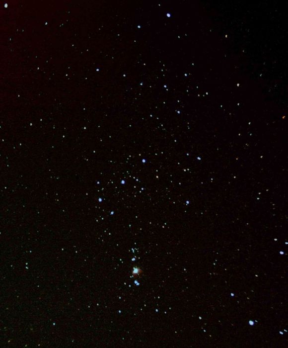 orion