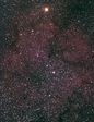 IC1396