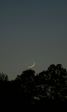 lune