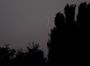Lune de 3 jours