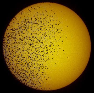 Eclipse du 01-08-08-animation (08h49-9h42TU)