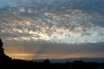 rayons