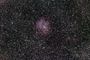 NGC 2244, la rosette