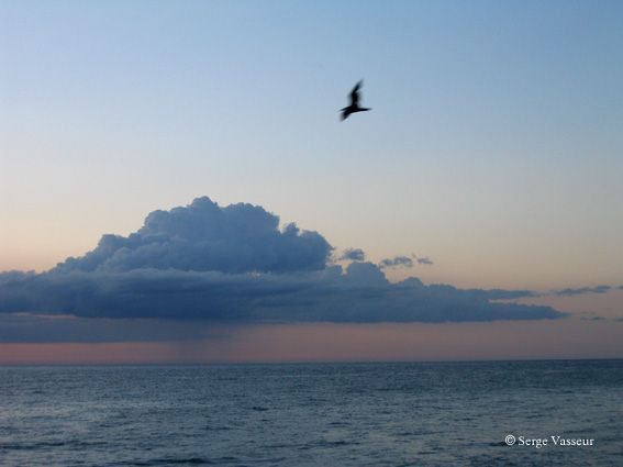 Cumulus 01