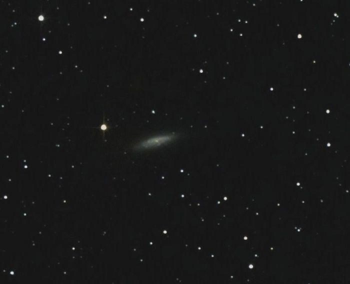 ngc 6503 retraitée