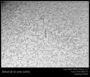 Détail de la zone active et des filaments
