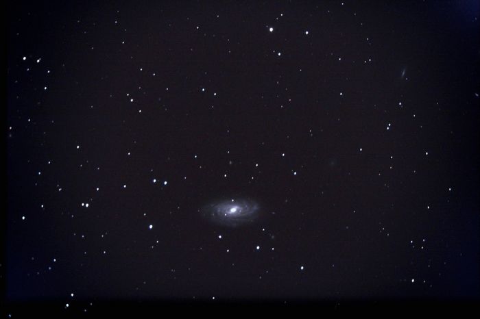 NGC 3953 Gde Ourse