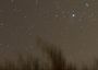 ORION D