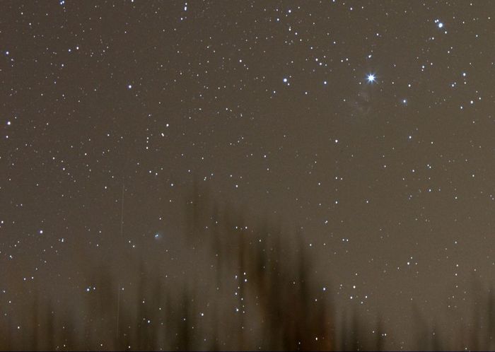 ORION D