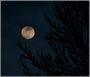 lune du 11 fev 2006