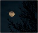 lune du 11 fev 2006