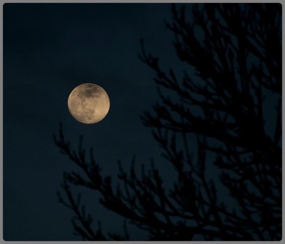 lune du 11 fev 2006