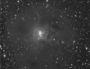 La nébuleuse de l'Iris - NGC7023