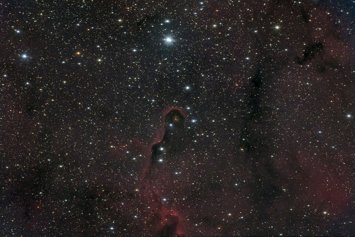 ic1396