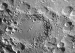 Maginus