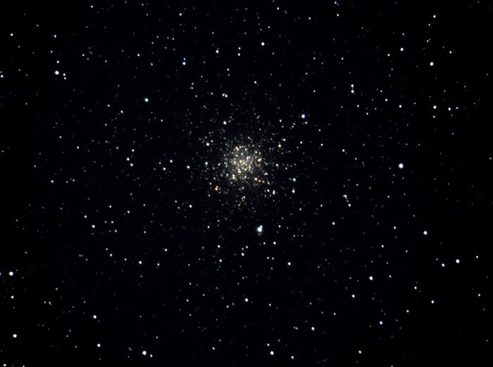 M56